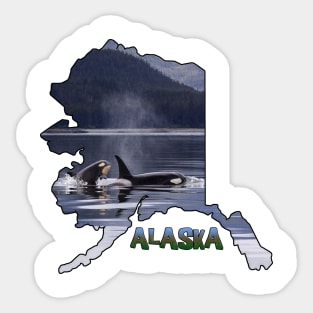 Alaska (Orca Whales) Sticker